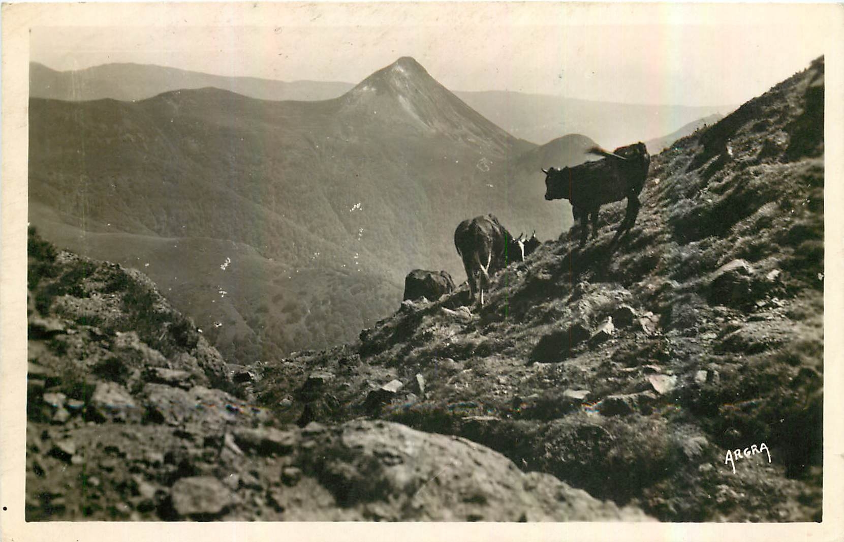 CPA Cantal le Puy Griou vu des Flancs du Puy Mary Vache