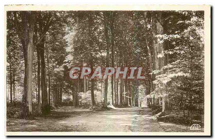 CPA Flers sous bois dans le Parc 