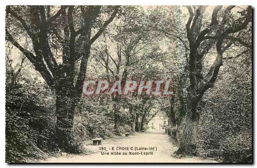 CPA Le Croisic Loire Inf Une Allee au Mont Esprit 