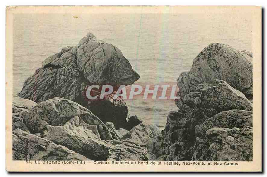 CPA Le Croisic Loire Inf Curieux Rochers au bord de la Falaise Nez Pointu et Nez Camus 