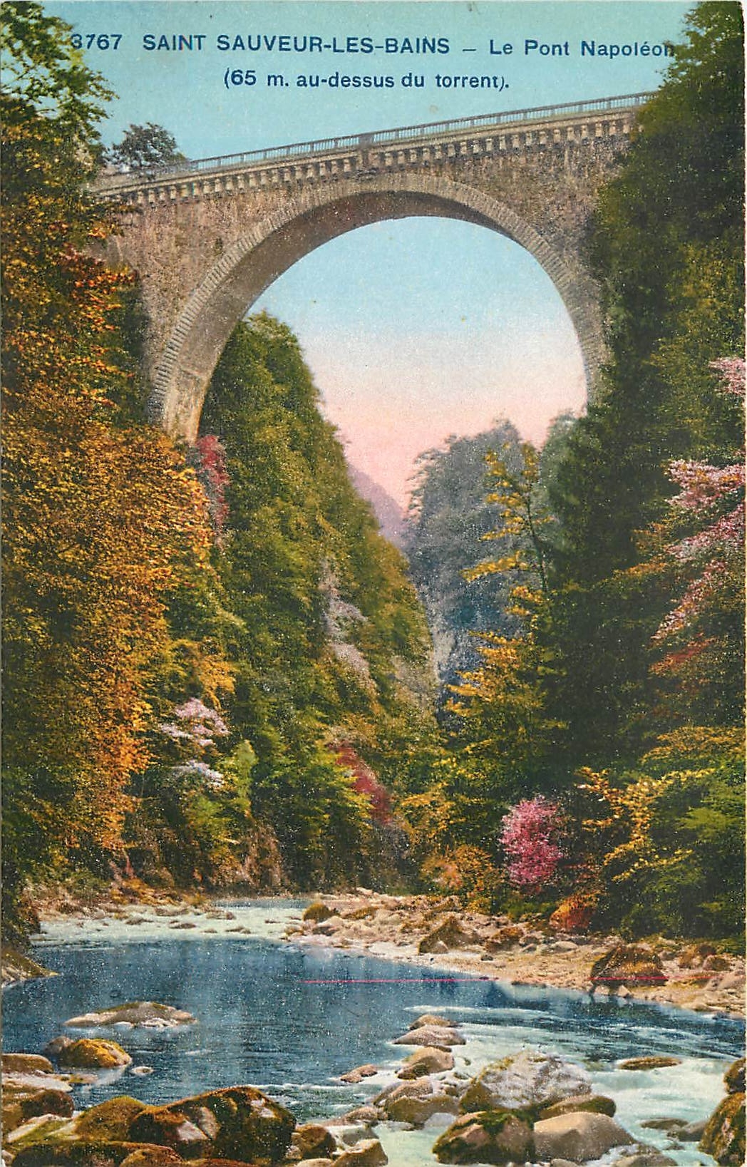 CPA Saint Sauveur les Bains Le Pont Napoleon 