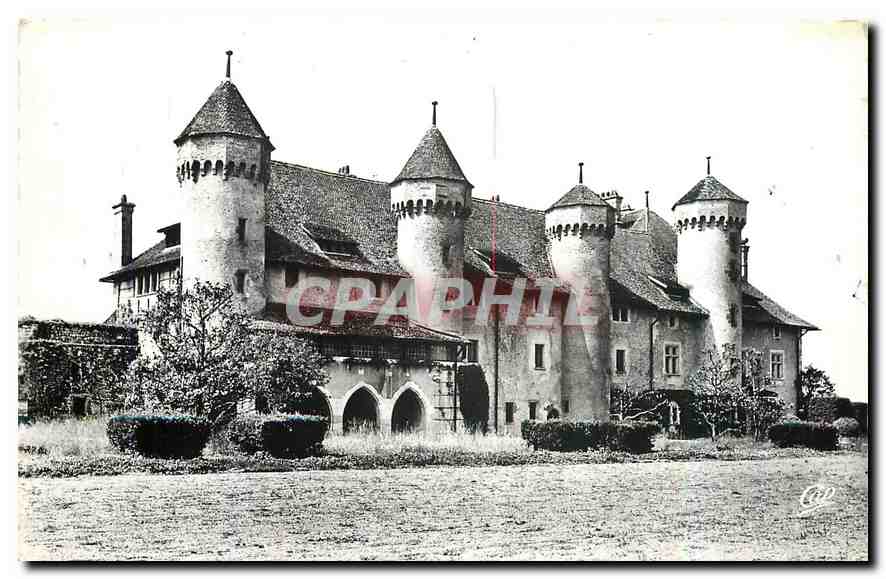 CPA Thonon Les Bains Le Chateau de Ripaille 