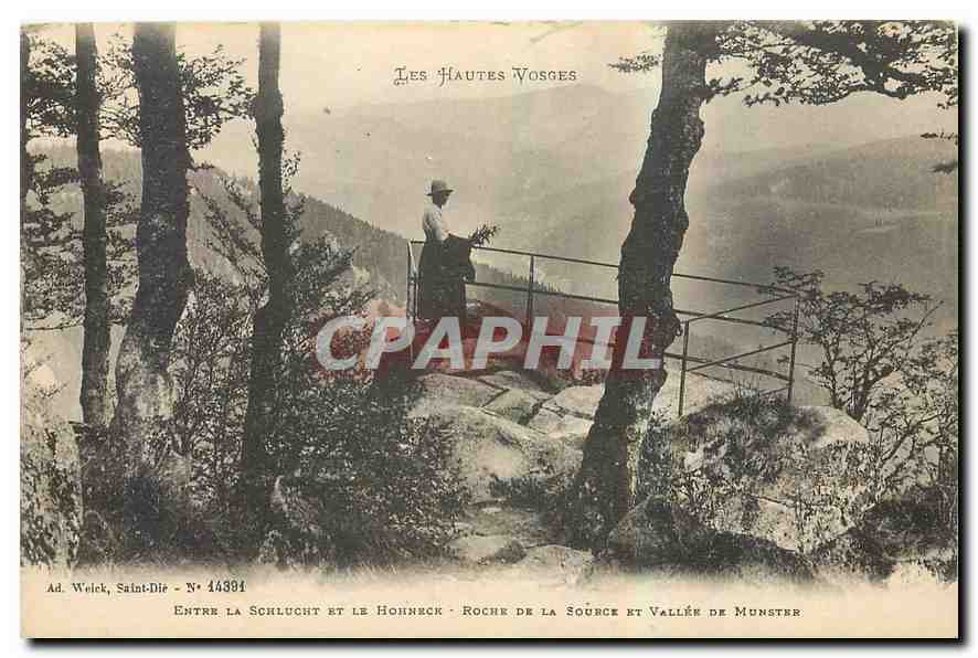 CPA Les Hautes Vosges Entree la Schlucht et le Honneck Roche de la Source et Vallee 