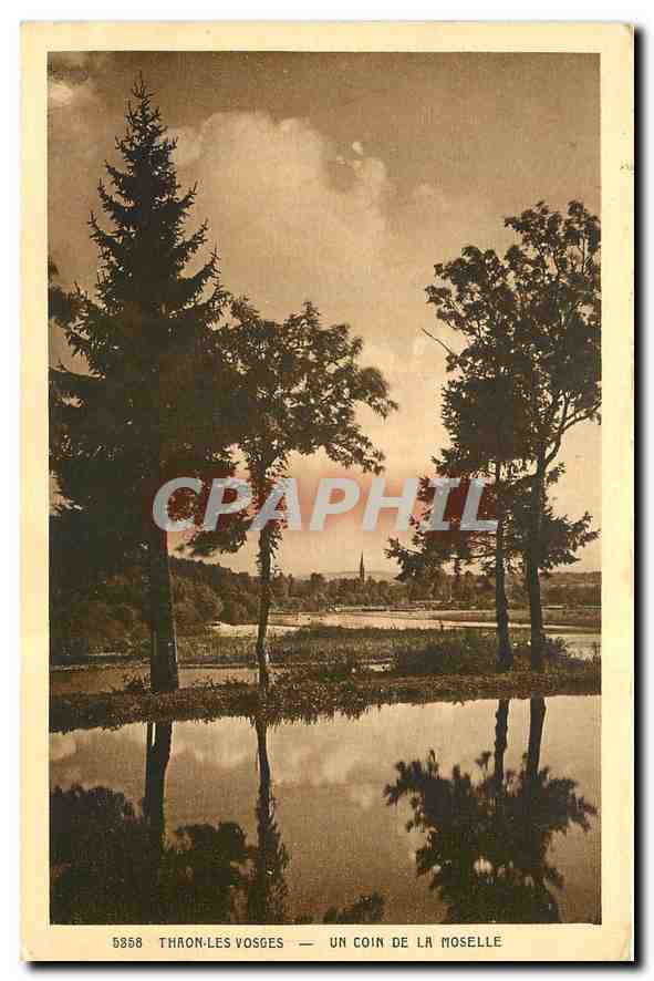 CPA Thaon les Vosges Un coin de la Moselle 