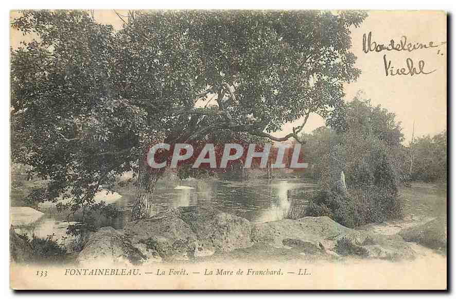 Fontainebleau — La Forêt — La Mare de Franchard — LL. — n°133