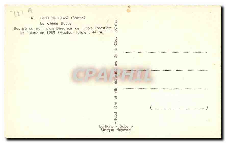 CPA Foret de Berce Sarthe Le Chene Boppe Baptise du nom d'un Directeur de l'Ecole Forestiere de Nanc — Rückseite