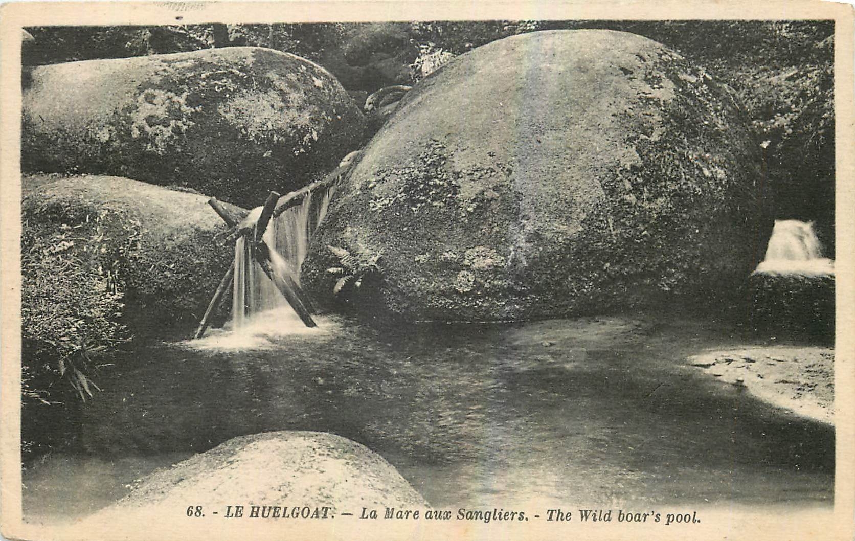 CPA Le Huelgoat La Mare aux Sangliers 
