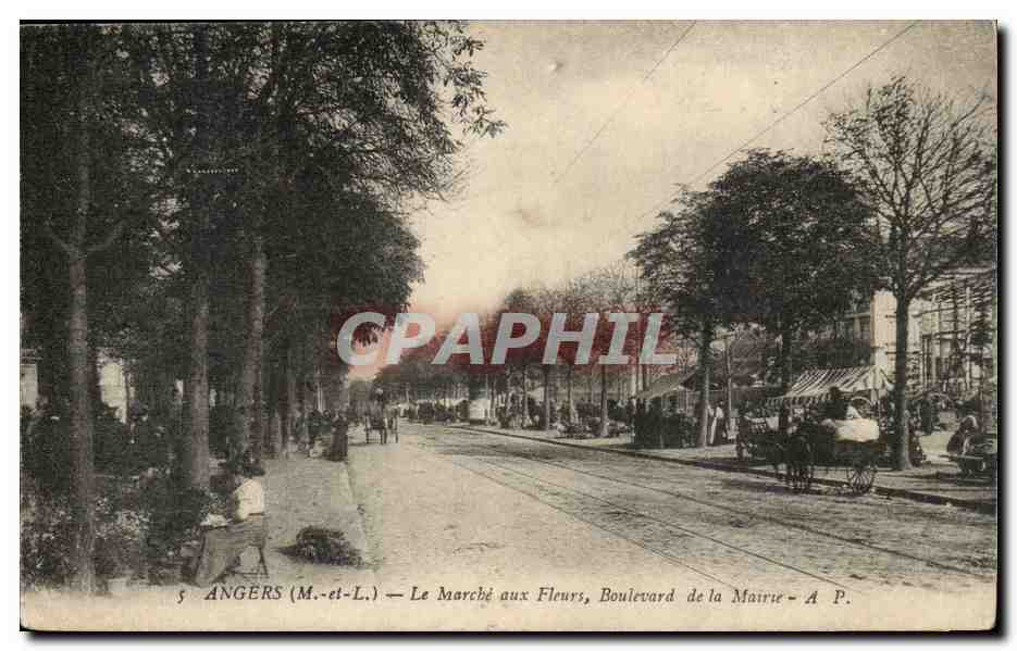 Angers (M.-et-L.) — Le Marché aux Fleurs, Boulevard de la Mairie — A. P.