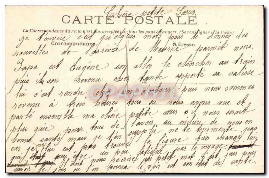 Angers CPA Jardin des plantes Entree principale — Rückseite