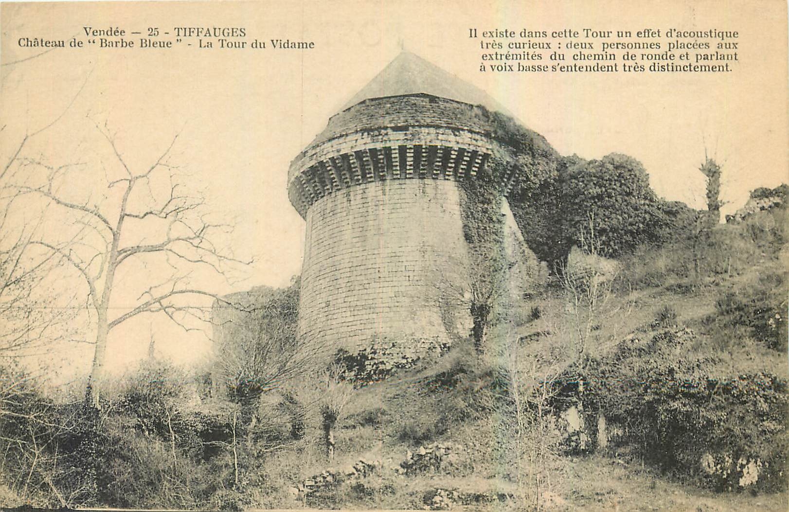 CPA Vendee Tiffauges Chateau de Barbe Bleue La Tour du Vidame 