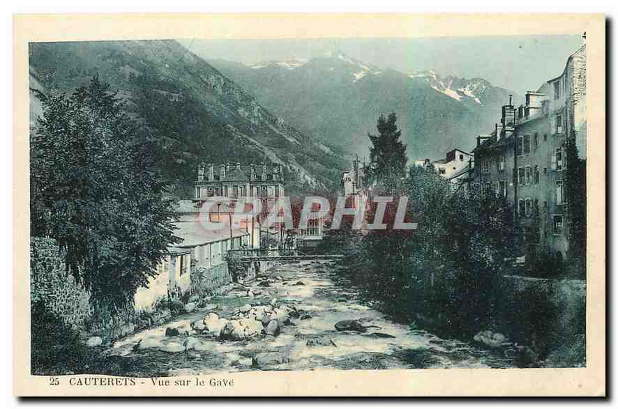 CPA Cauterets Vue sur le Gave 