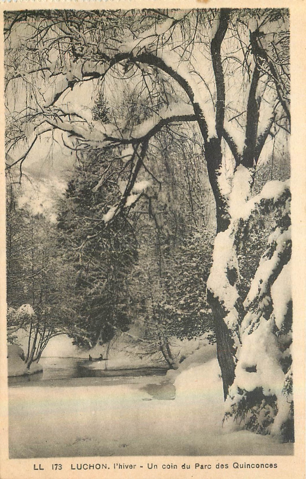 CPA Luchon l'hiver Un coin du Parc des Quinconces 