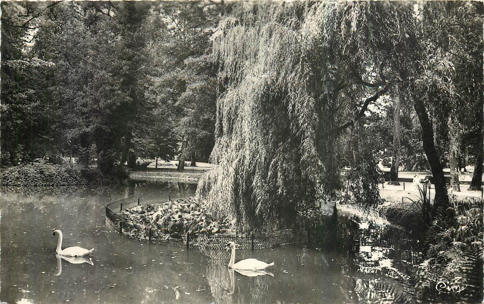 CPA Vittel Vosges Le Parc et les Cygnes 