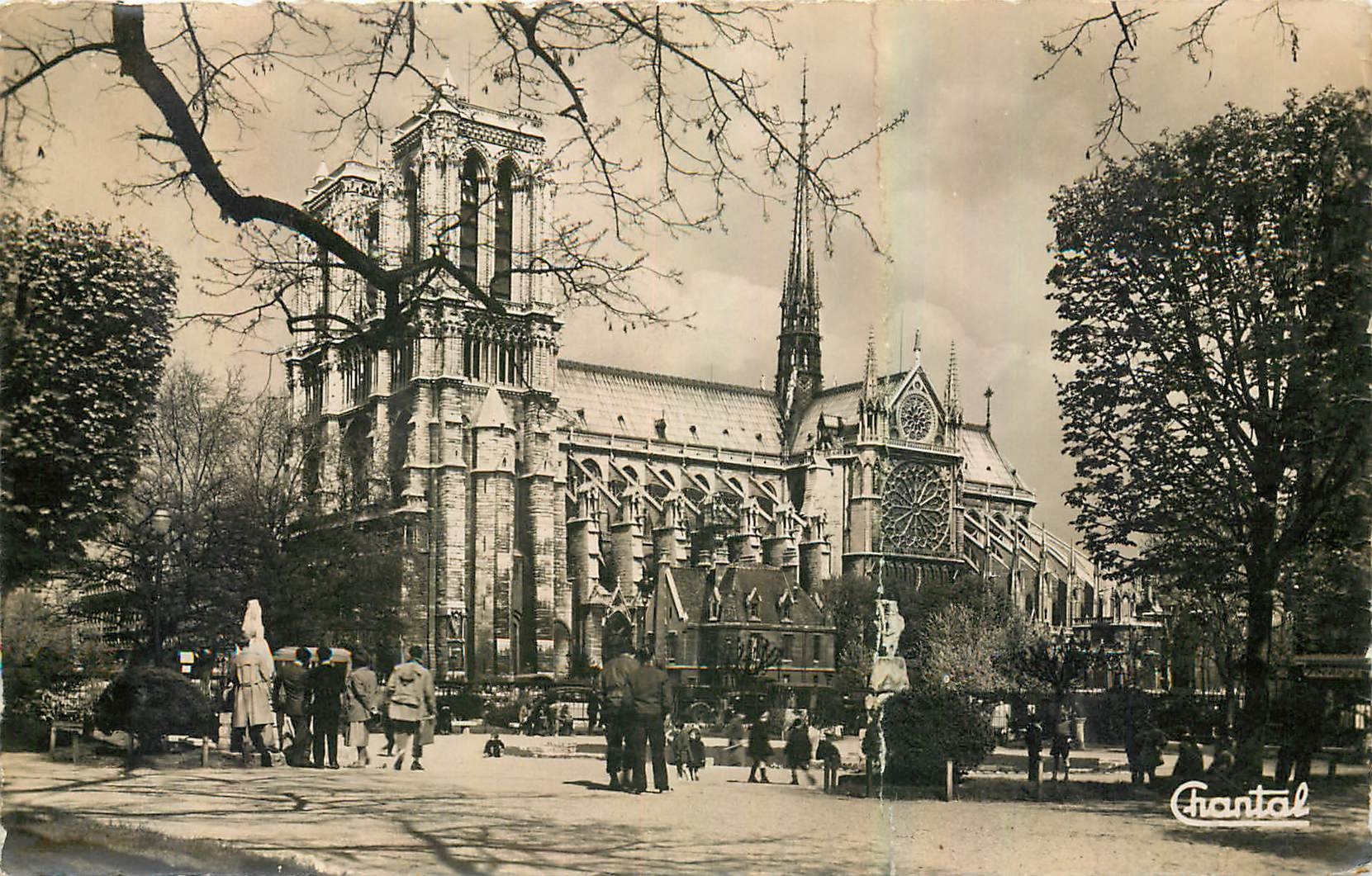 CPA Paris Notre Dame vue du Square Viviani 