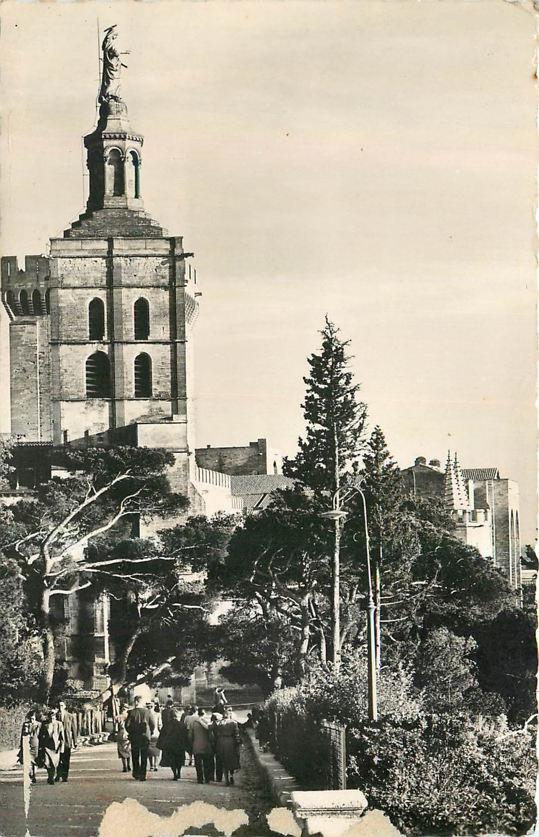Antike Ansichtskarte Avignon Kathedrale N D des Dans Ansicht aus den Gärten