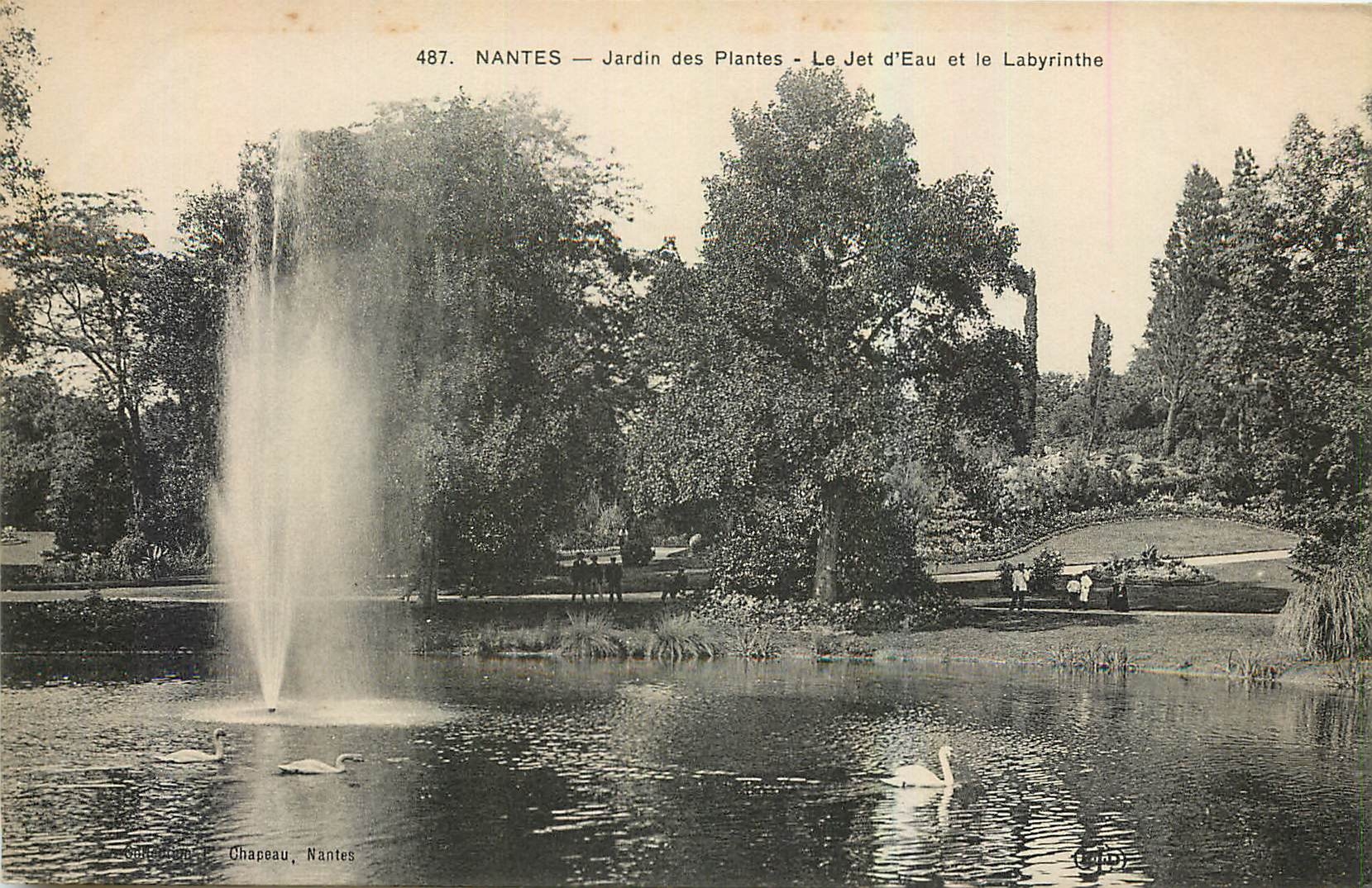 CPA Nantes Jardin des Palntes Le Jet d'Eau et le Labyrinthe 