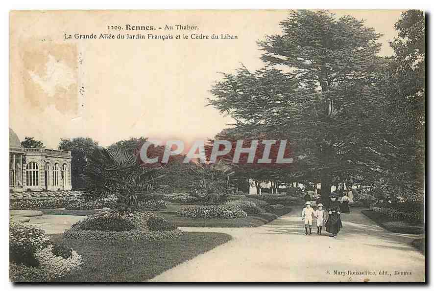 Rennes - Au Thabor. La Grande Allée du Jardin Français et le Cèdre du Liban — F. Mary-Rouxzelière, édit., Rennes