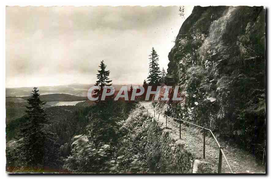 CPA Belchen Hotel Belchenhaus Eigentumer Sommer und Winter geoffnet 