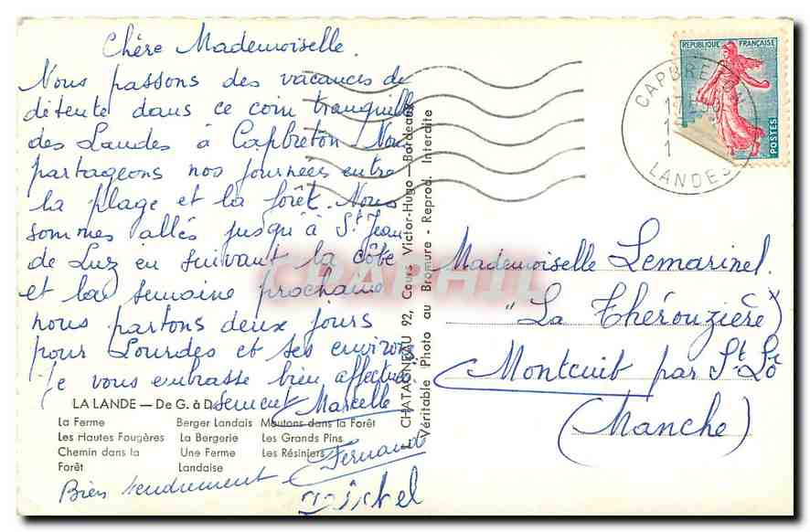 CPA La Lande De G a D La Ferme Les Hautes Fougeres Chemin dans la Foret Berger Landais La Bergerie L — Rückseite