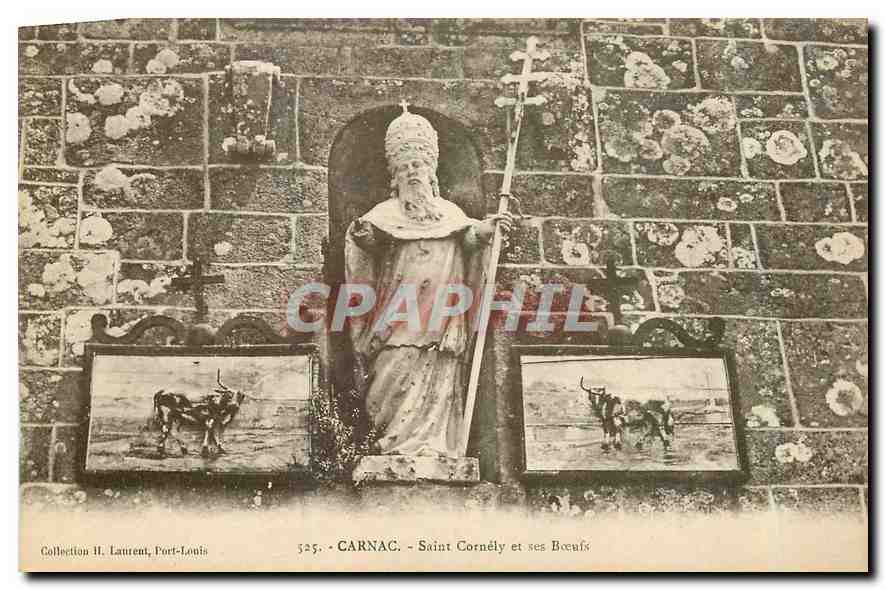 CPA Carnac Saint Cornely et ses Boeufs 