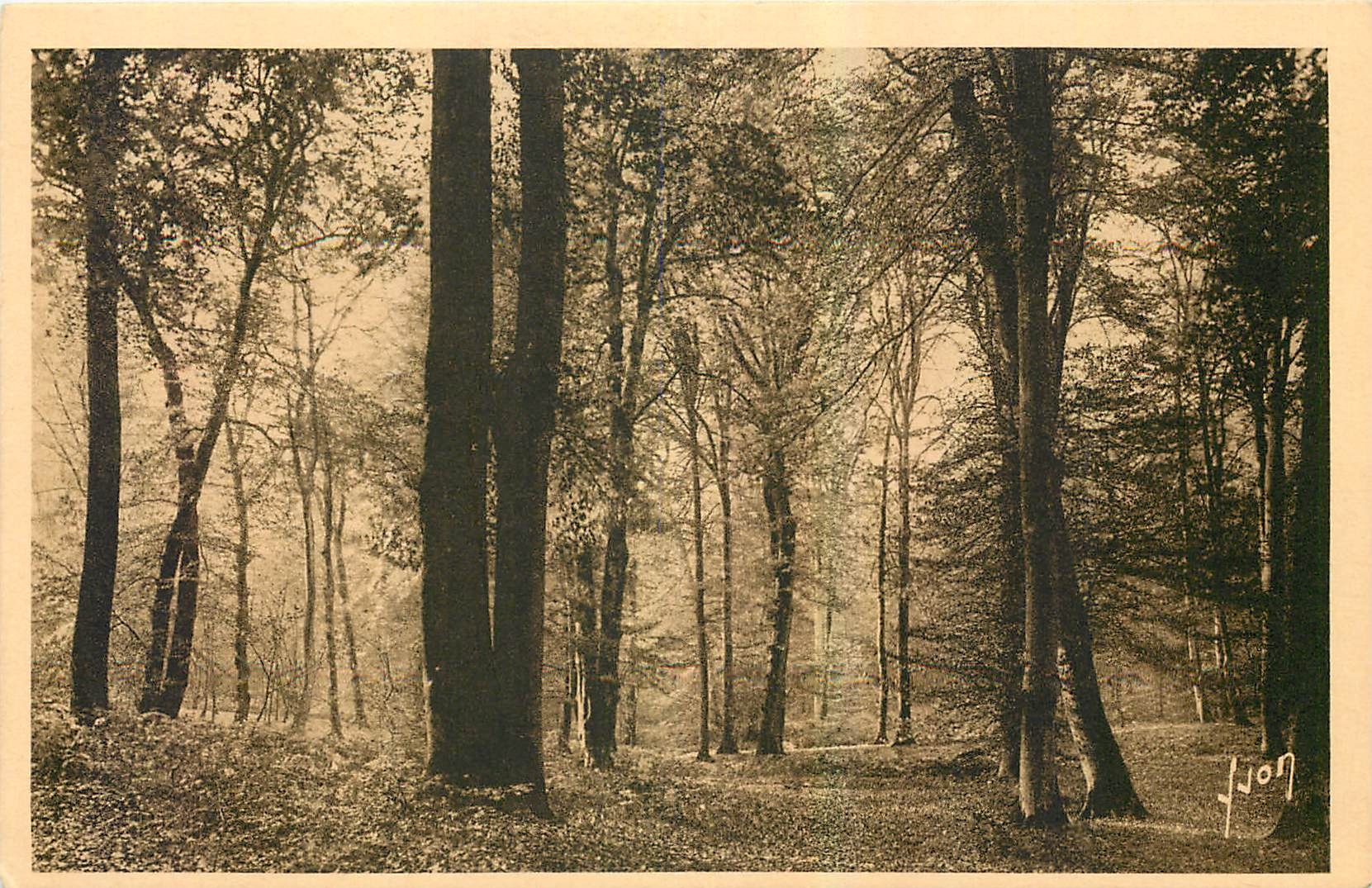 Fontainebleau — Ein schöner Platz im Wald im Herbst — Les Éditions d'Art YVON, Paris