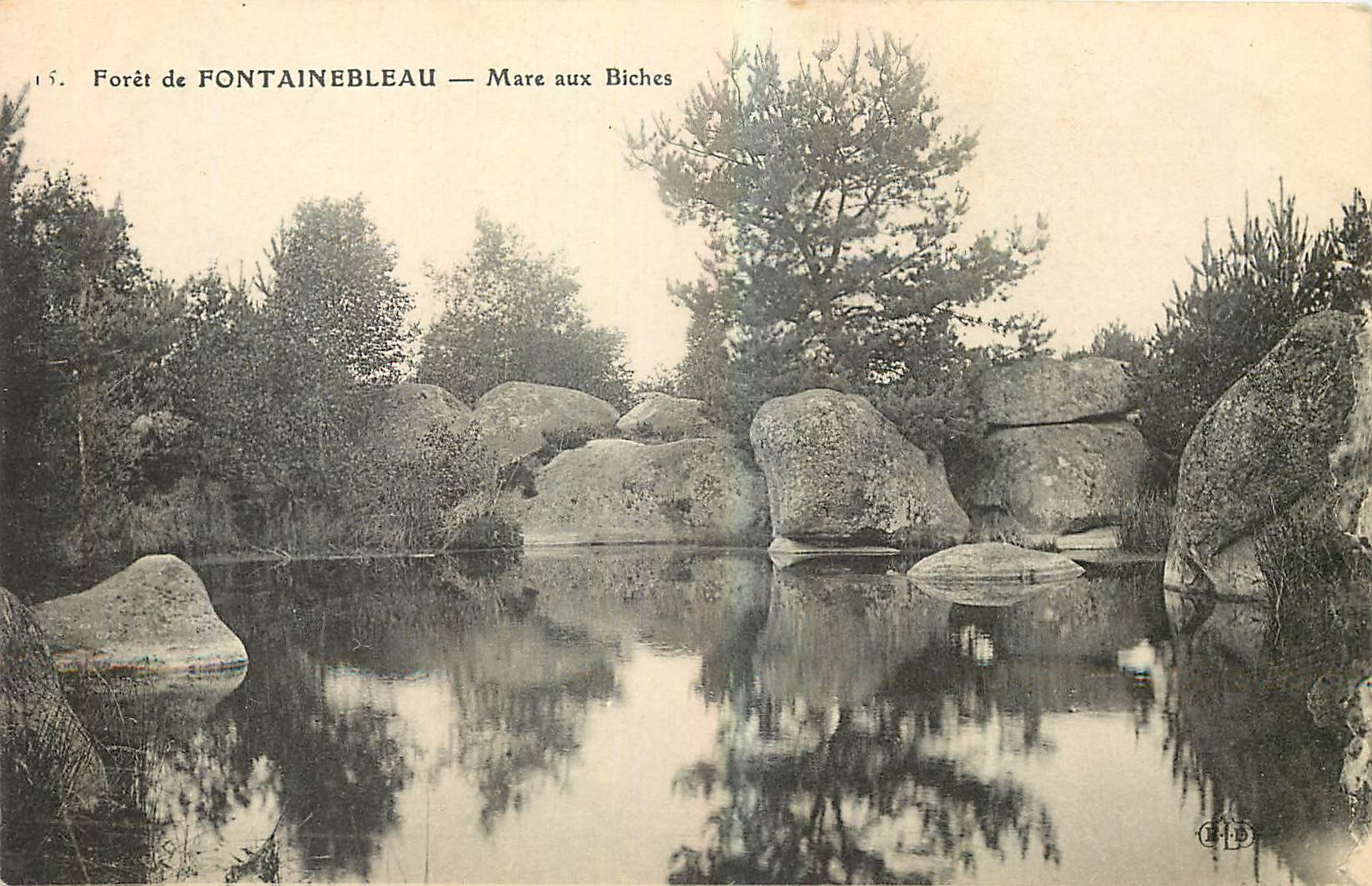 Wald von FONTAINEBLEAU — Mare aux Biches — C.H.D. n°15