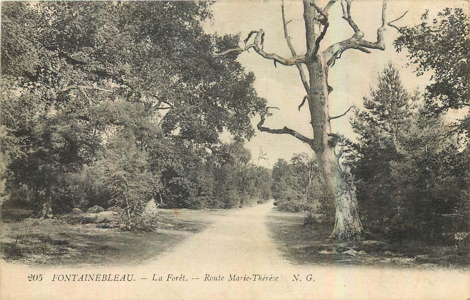 Fontainebleau — Die Forêt — Route Marie-Thérèse — N.G. — Nr. 205