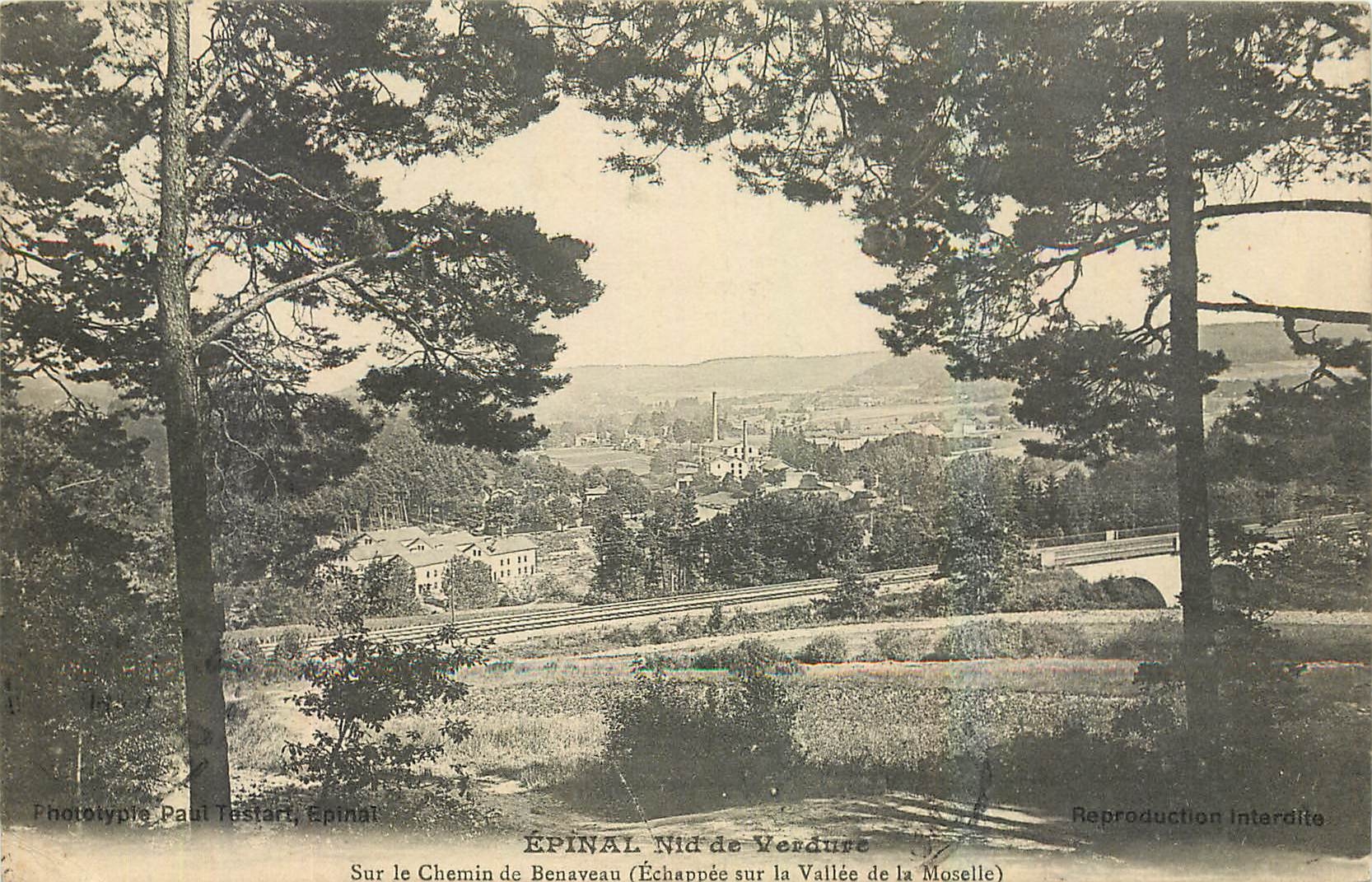 CPA Epinal Nid de Verdure Sur le Chemin de Beneveau 