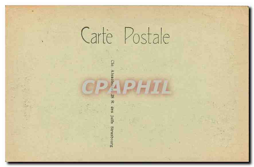CPA Phalsbourg Lorr Nid de Cigognes  — Rückseite