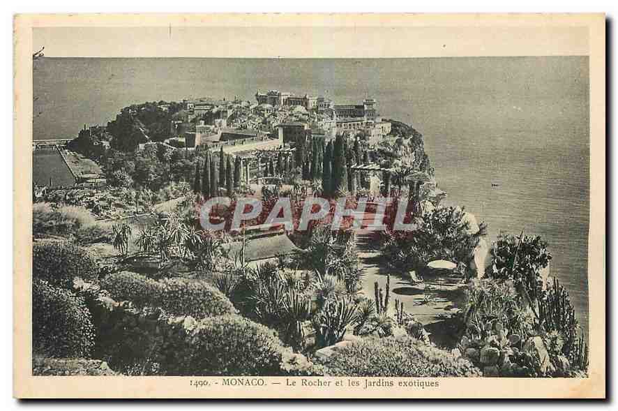 CPA Monaco Le Rocher et les Jardins exotiques 