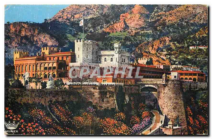 CPA Monaco Principaute Le Palais du Prince 