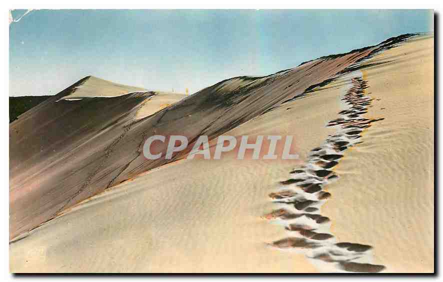 CPM Bassin d'Arcachon Pilat Plage La Grande Dune 