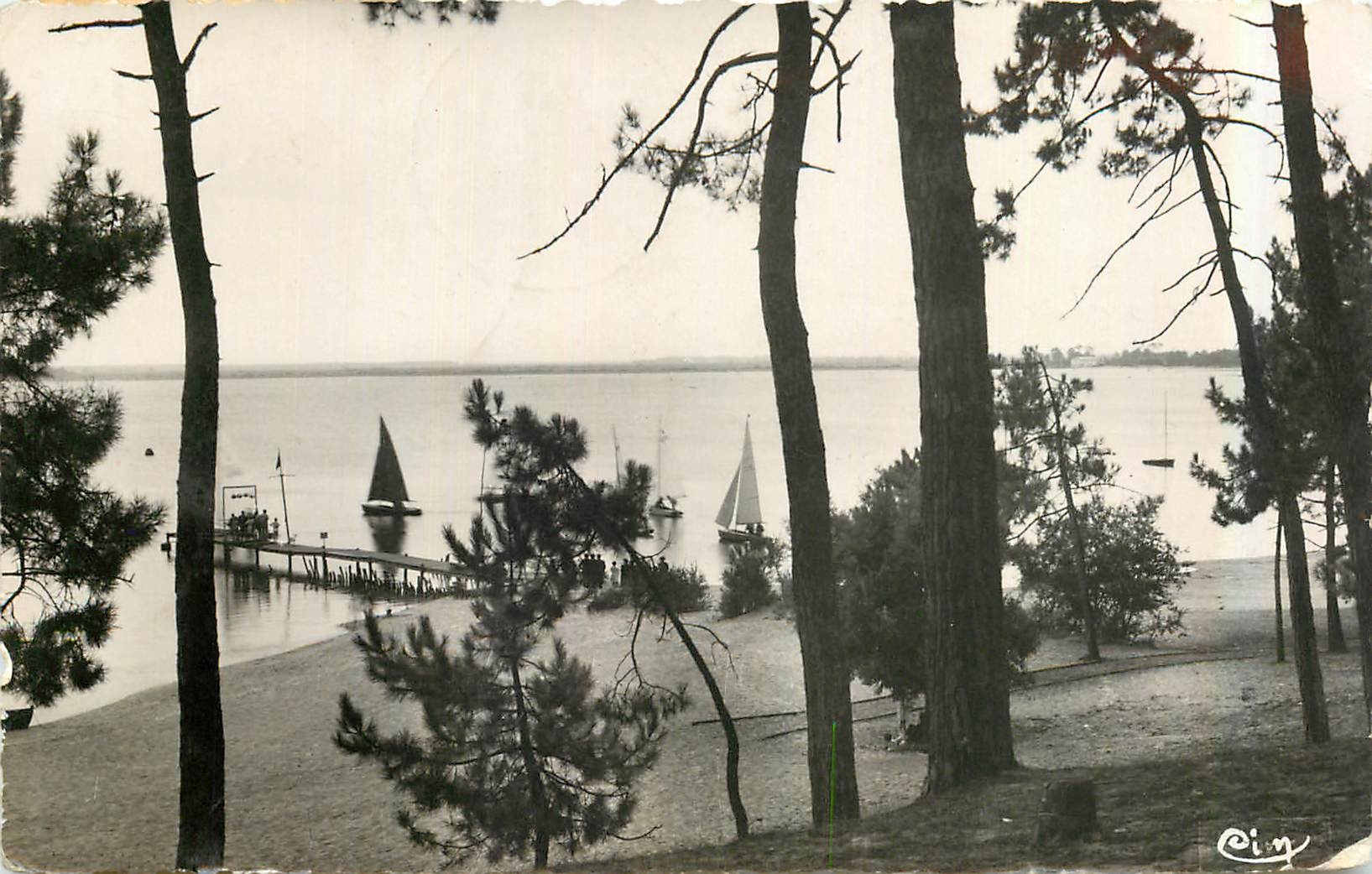 CPM Environs de Carcans Maubuisson Gironde La Jetee vue de la Foret 