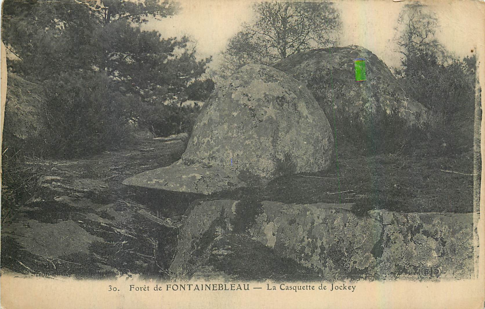 Foresta di FONTAINEBLEAU — La Casquette de Jockey
