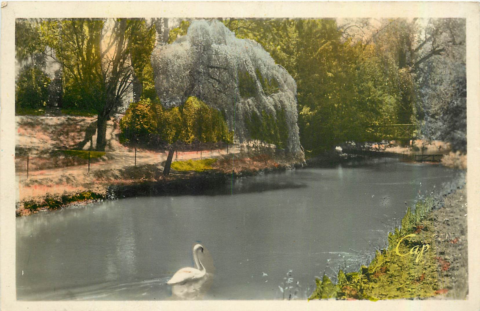 CPA Chalons sur Marne Le jardin du Jard 