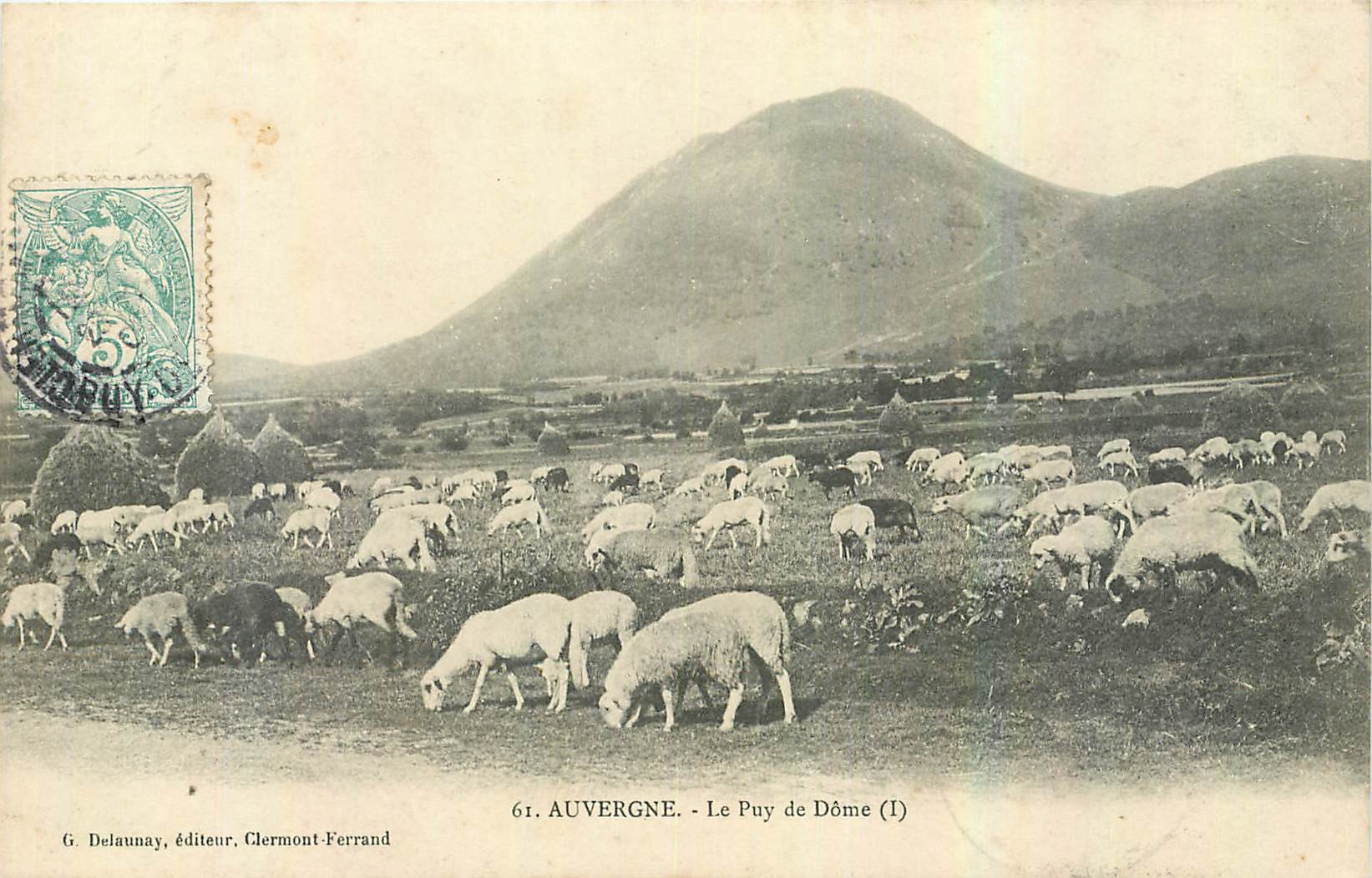CPA Auvergne Le Puy de Dome Moutons