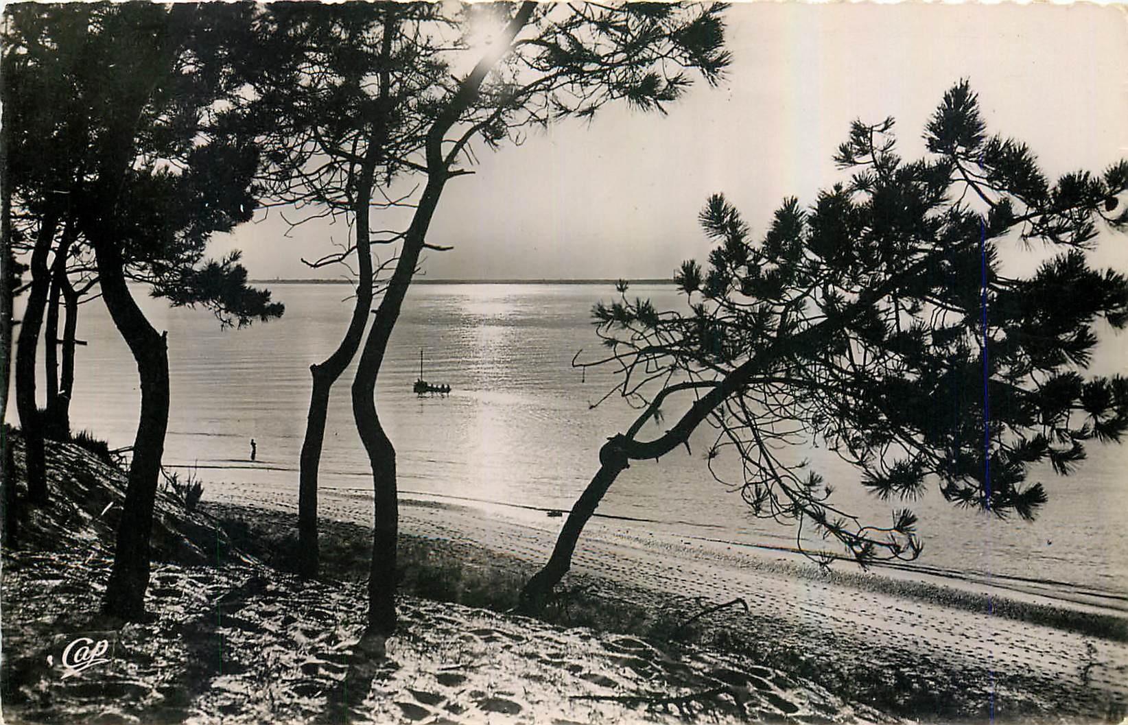 CPA Bassin d'Arcachon Coucher de Soleil 