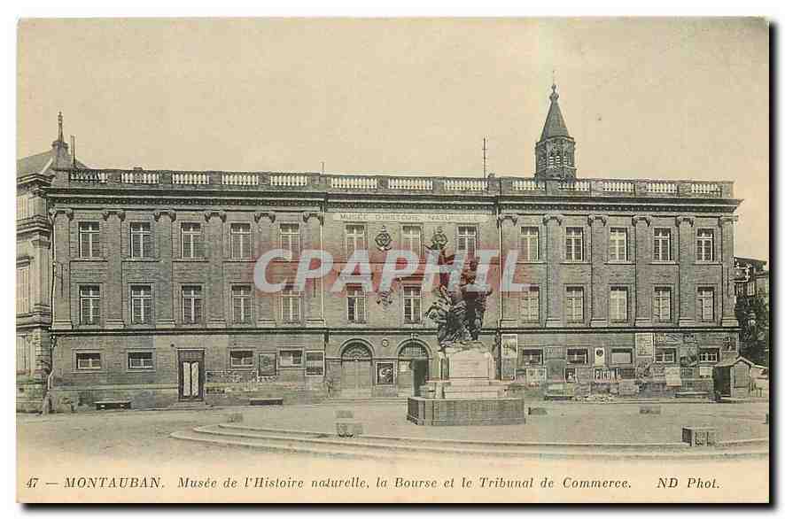 CPA Montauban Musee de l'Historie naturelle la Bourse et le Tribunal de Commerce 