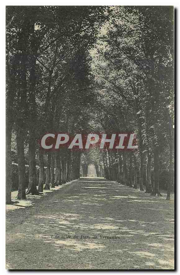 CPA Une allee dir Parc de Versailles 