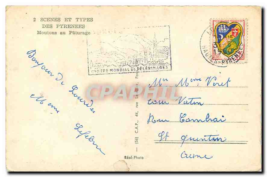 CPM Scenes et Types des Pyrenees Moutons au Paturage  — Rückseite