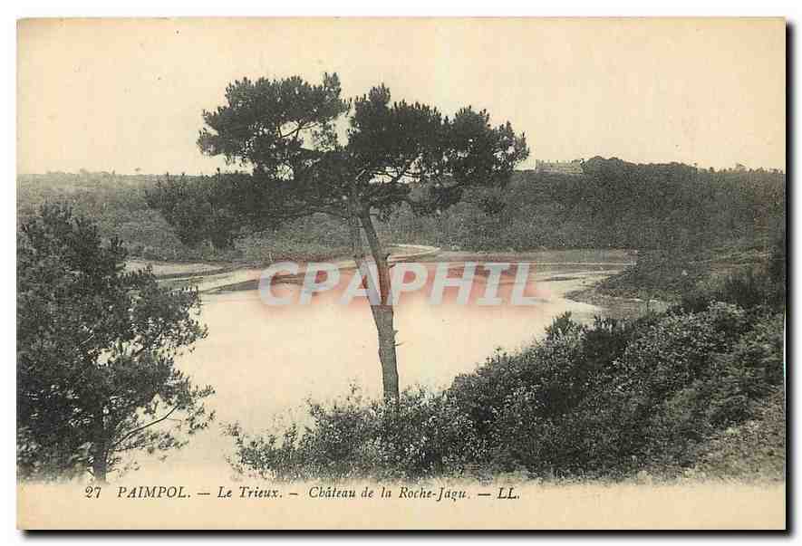 CPA Paimpol Le Trieux Chateau de la Roche Jagu 