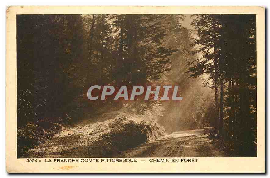 CPA La Franche comte Pittoresque Chemin en Foret 