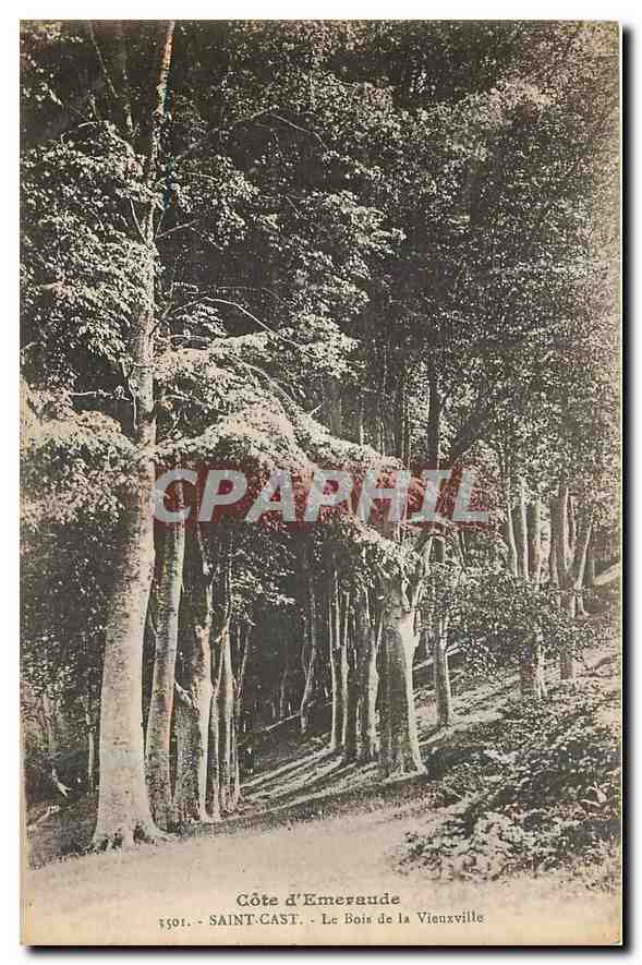 CPA Cote d'Emeraude Saint Cast Le Bois de la Vieuxville 