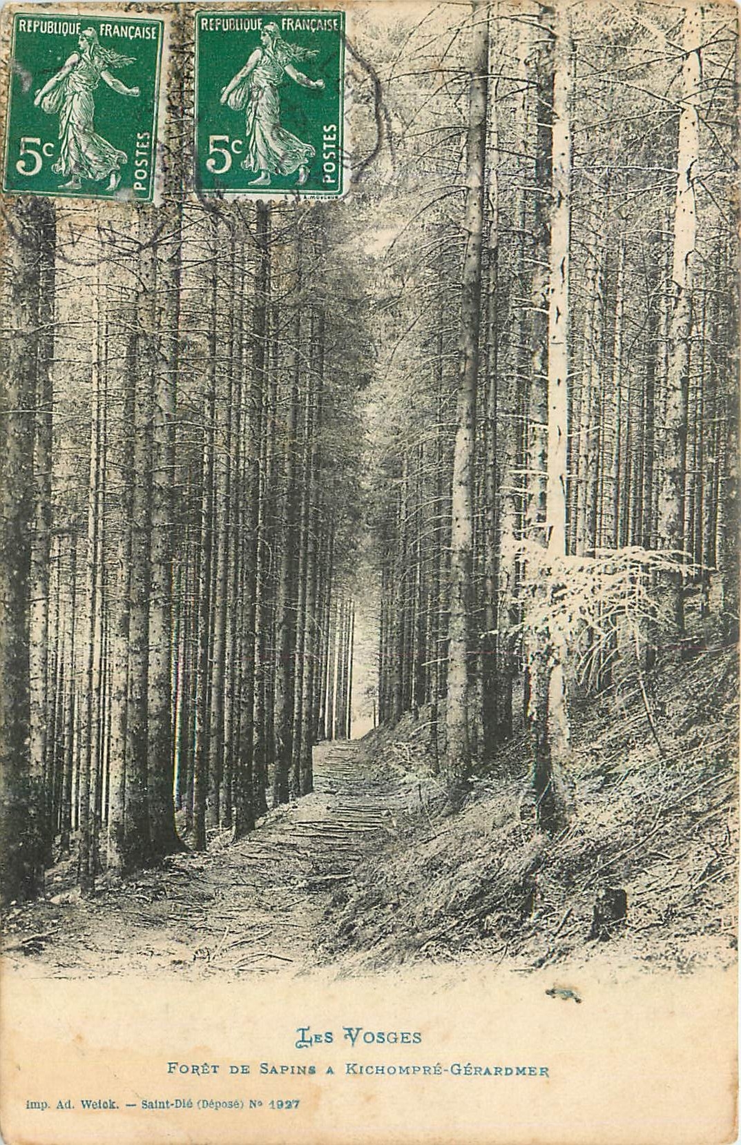 CPA Les Vosges Foret de Sapine a Kichompre Gerardmer 
