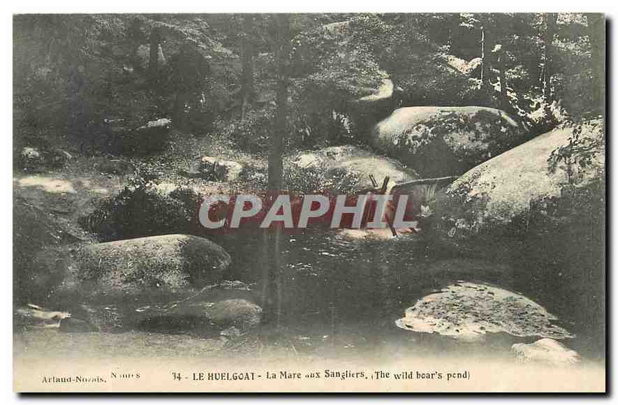 CPA Le Huelgoat La Mare Sangliers 