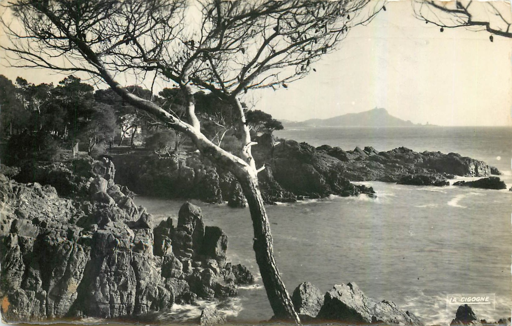 CPA La Corniche d'Or Var Les Calanques de Santa Lucia 