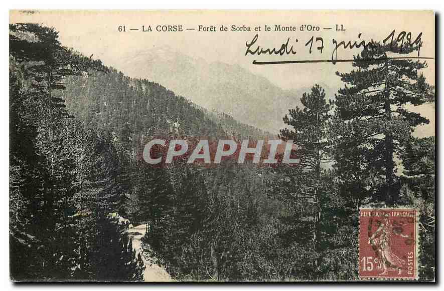 La Corse — Forêt de Sorba et le Monte d'Oro — LL