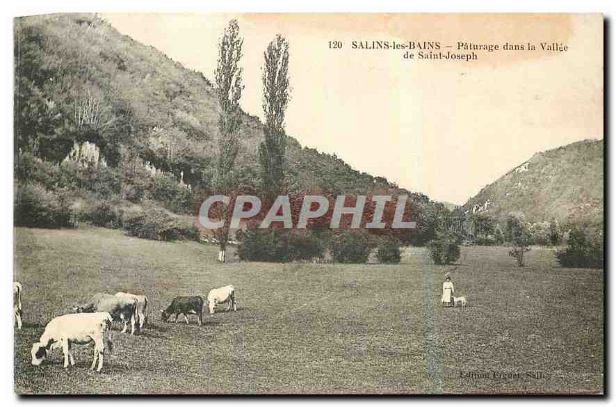 CPA Salins les Bains Paturage dans la Vallee de Saint Joseph Vaches