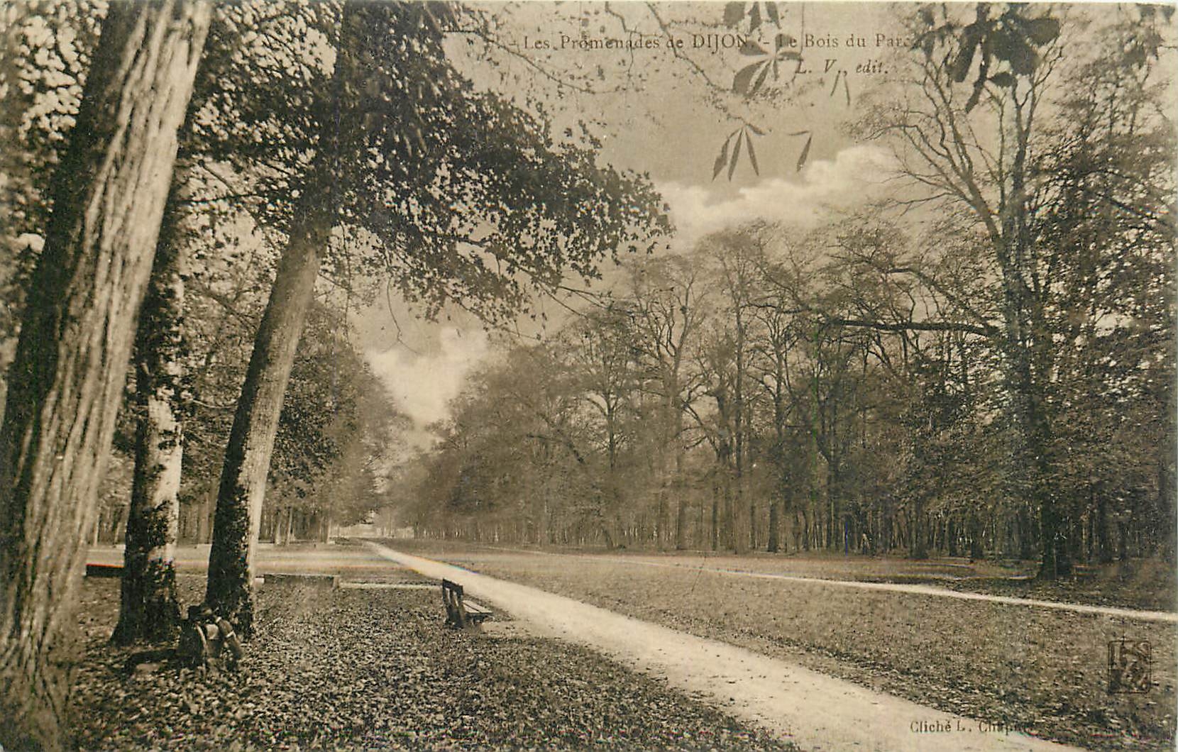 CPA Les Promenades de Dijon Le Bois 