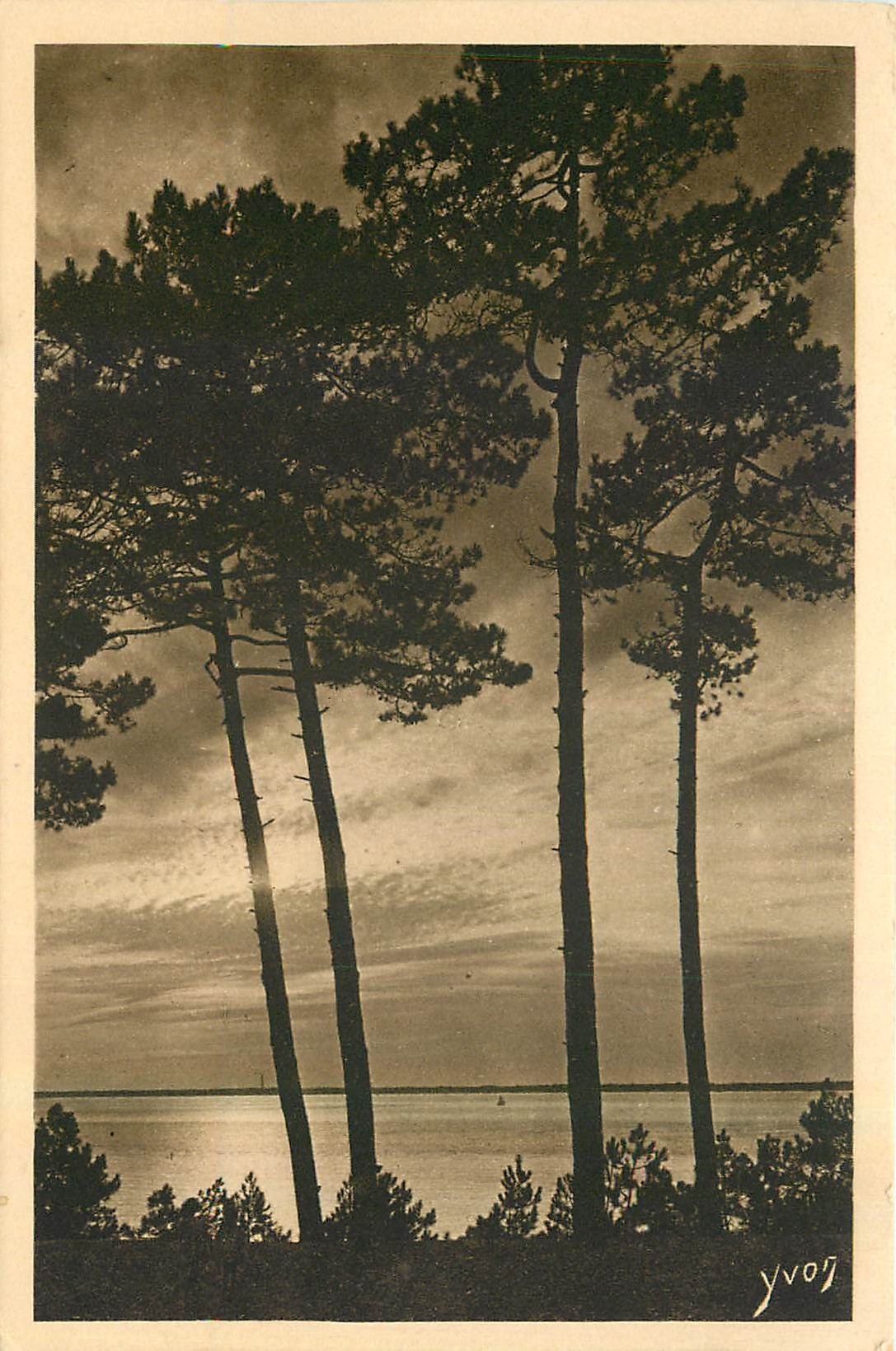 CPA Les Charmes de la Cote d'Argent mer et foret d'Arcachon au Moulleau 